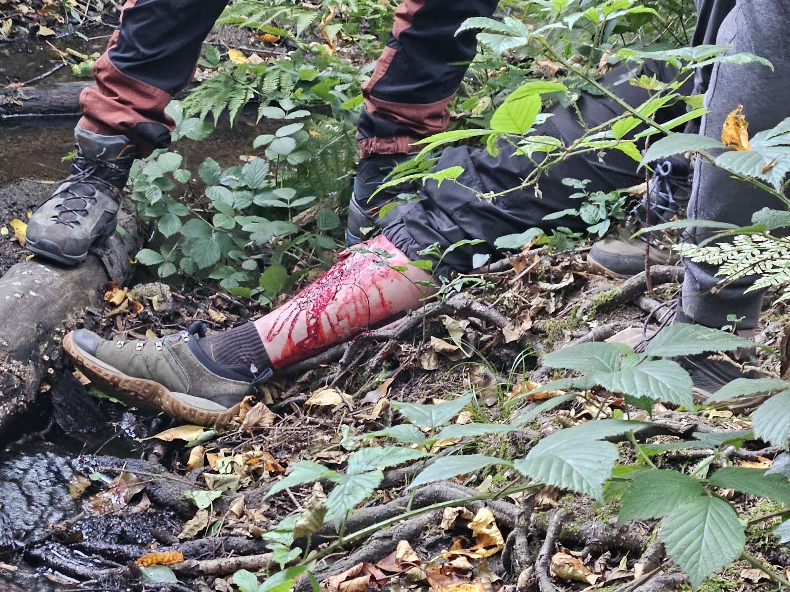 Outdoor Erste Hilfe Seminar
