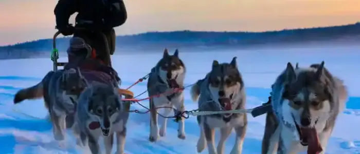 Masterguide-Ausbildung-Wintertrekking-Schlitten