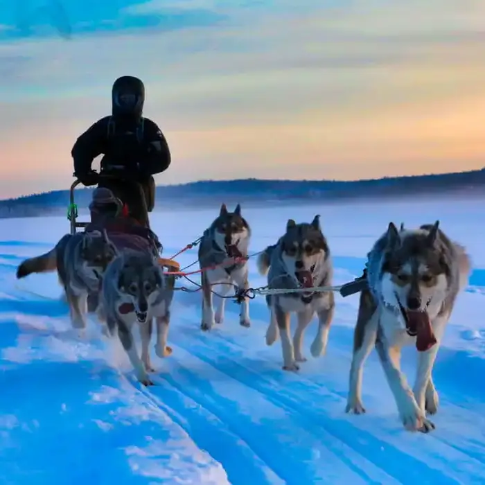Masterguide-Ausbildung-Wintertrekking-Schlitten